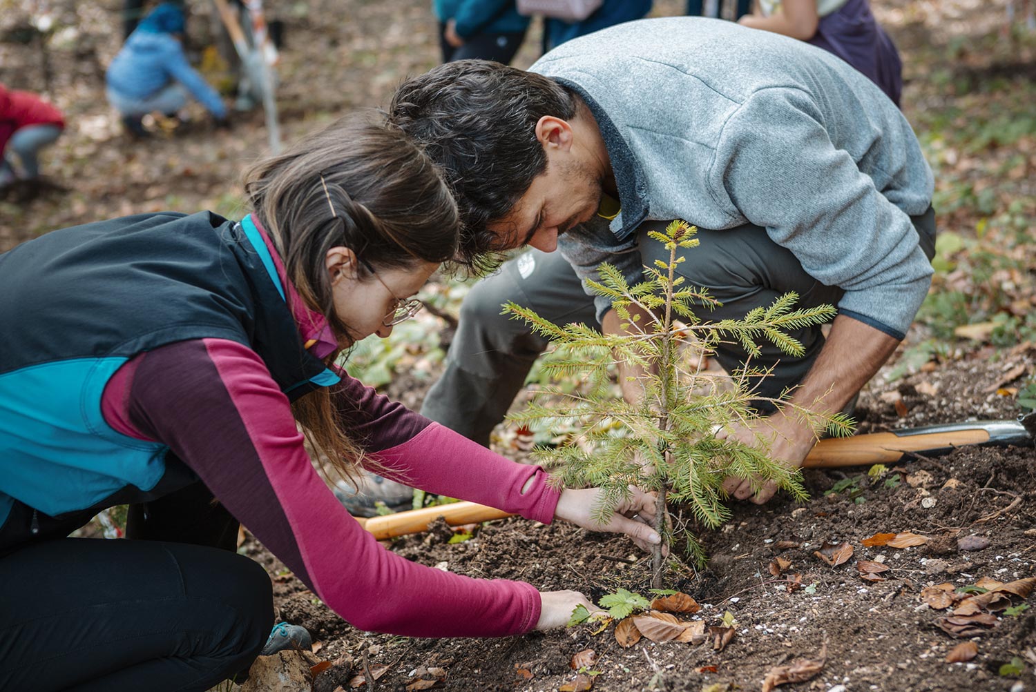 climate-positive-foresta03 Levico Acque climate positive wow nature